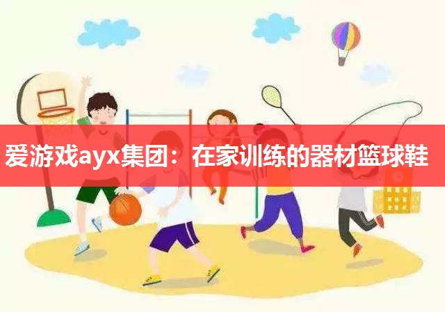 爱游戏ayx集团：在家训练的器材篮球鞋