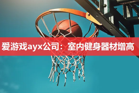 爱游戏ayx公司：室内健身器材增高