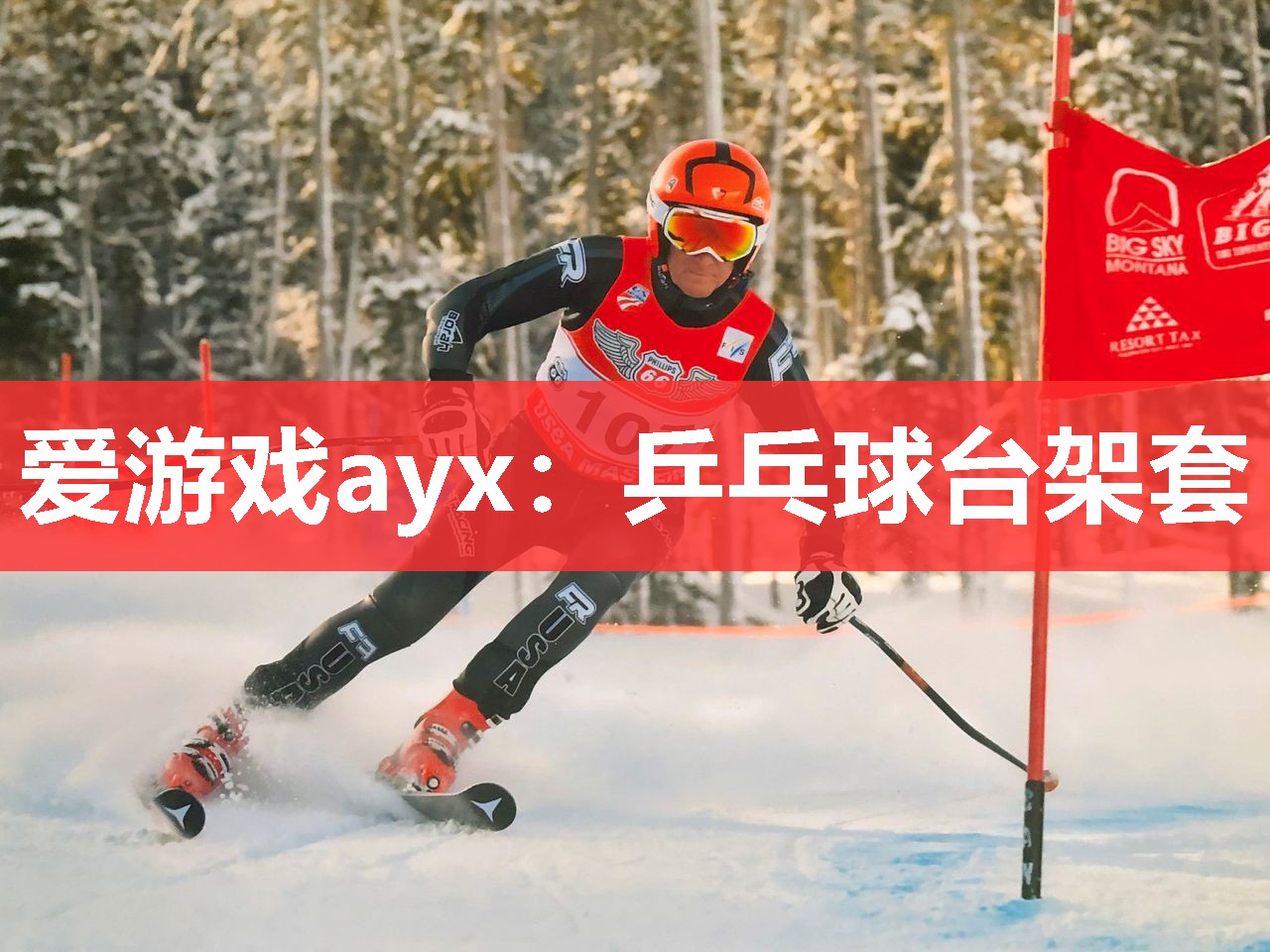 爱游戏ayx：乒乓球台架套