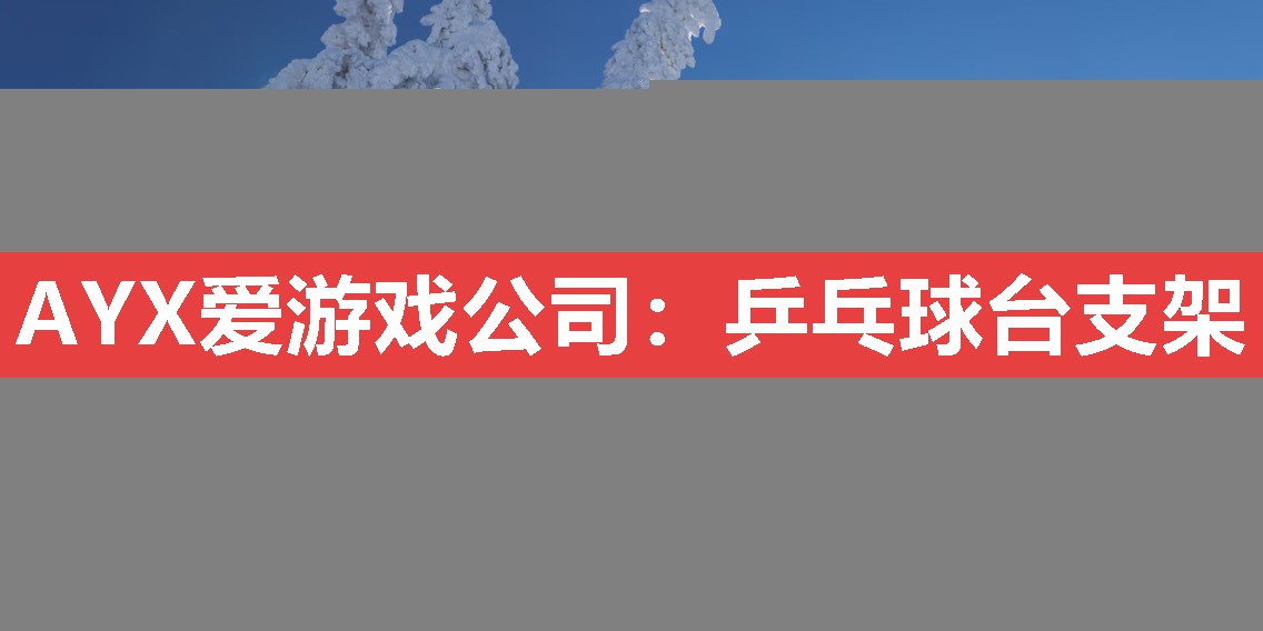 AYX爱游戏公司：乒乓球台支架