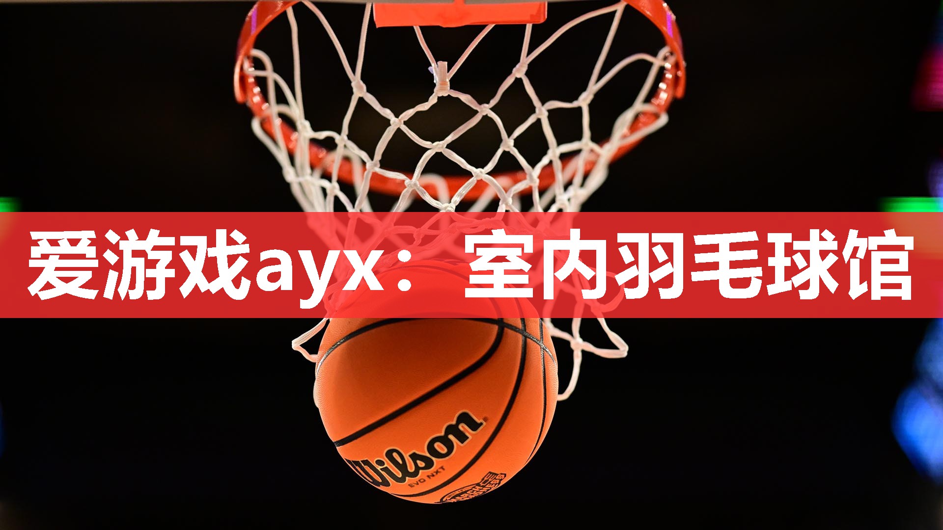 爱游戏ayx：室内羽毛球馆