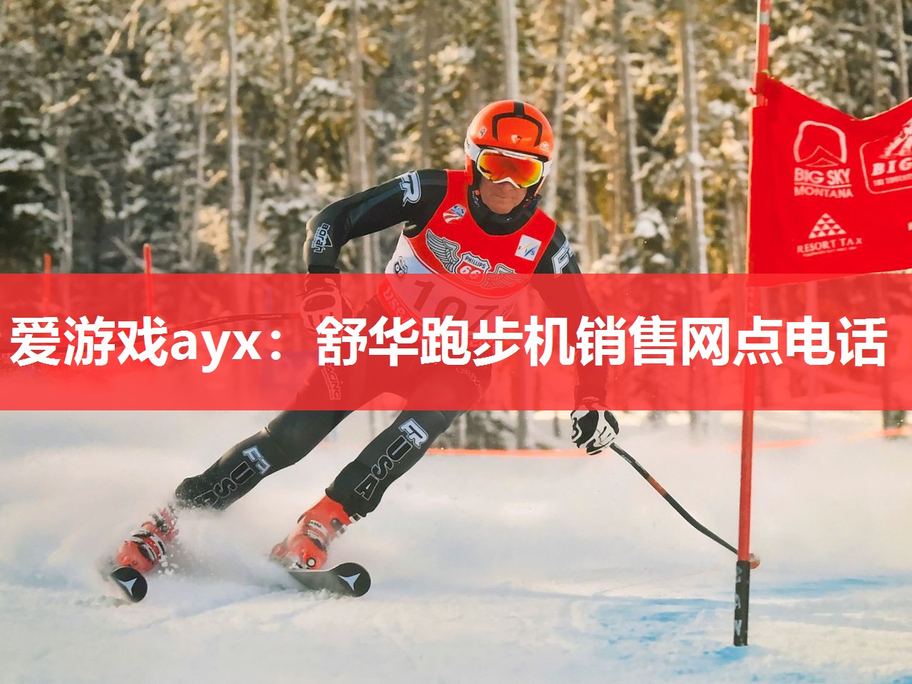 爱游戏ayx：舒华跑步机销售网点电话