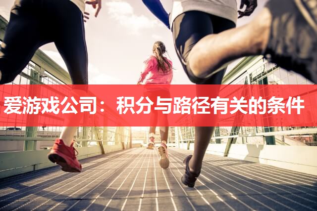 爱游戏公司：积分与路径有关的条件