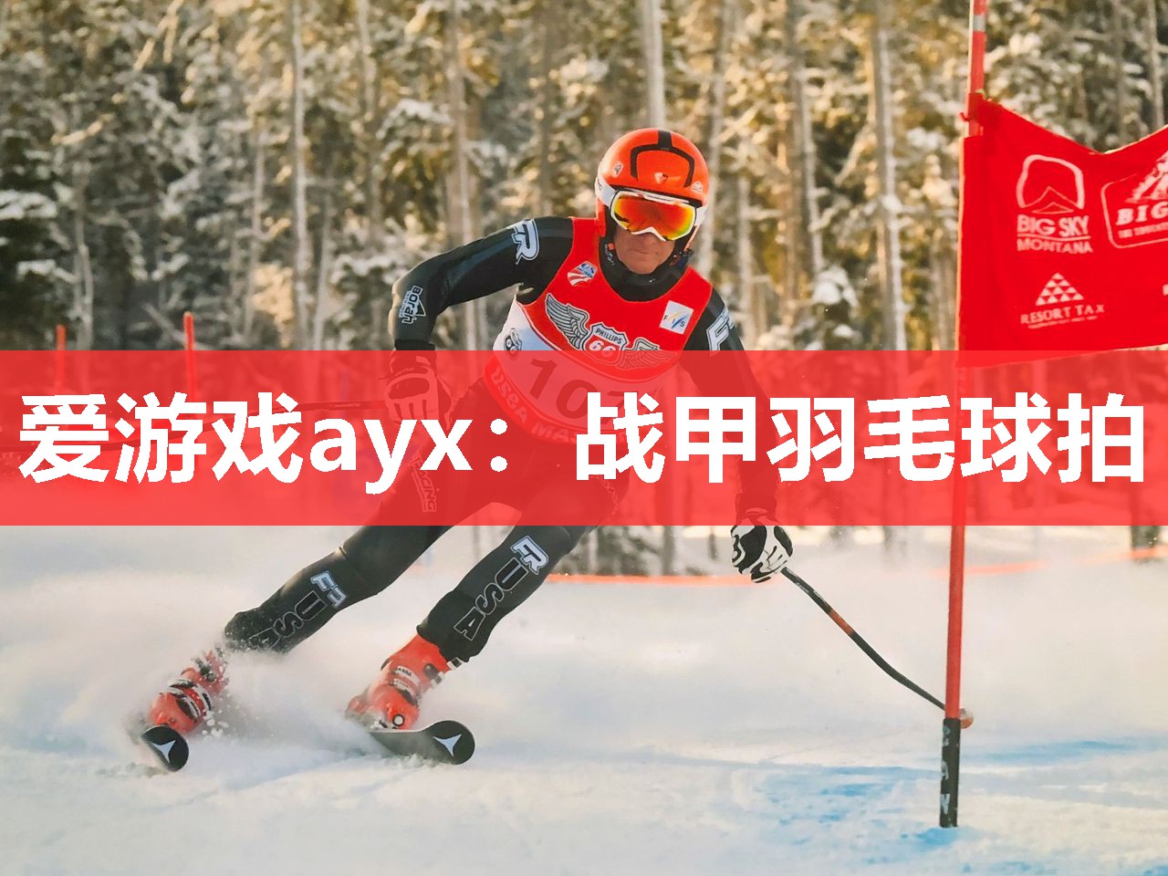 爱游戏ayx：战甲羽毛球拍